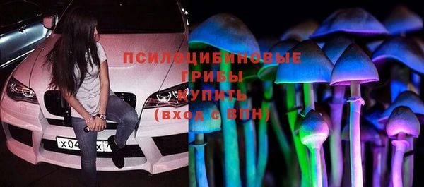 бошки Абинск