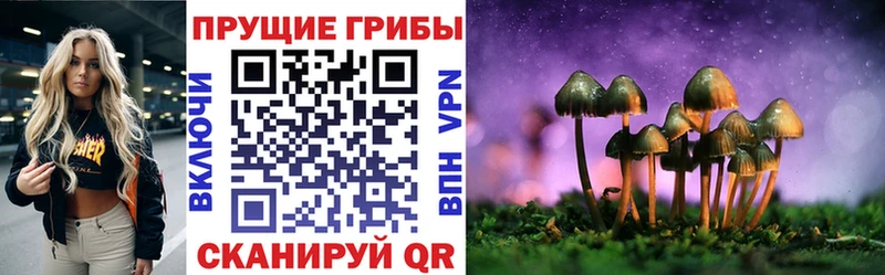 Галлюциногенные грибы прущие грибы  Куровское 